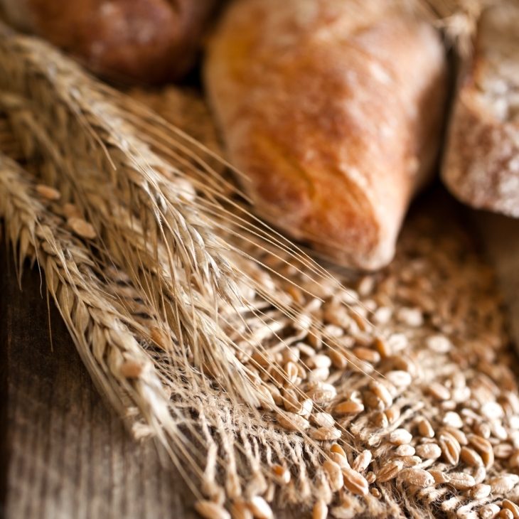 Für die Brotindustrie -  Industrielle